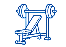Musculación